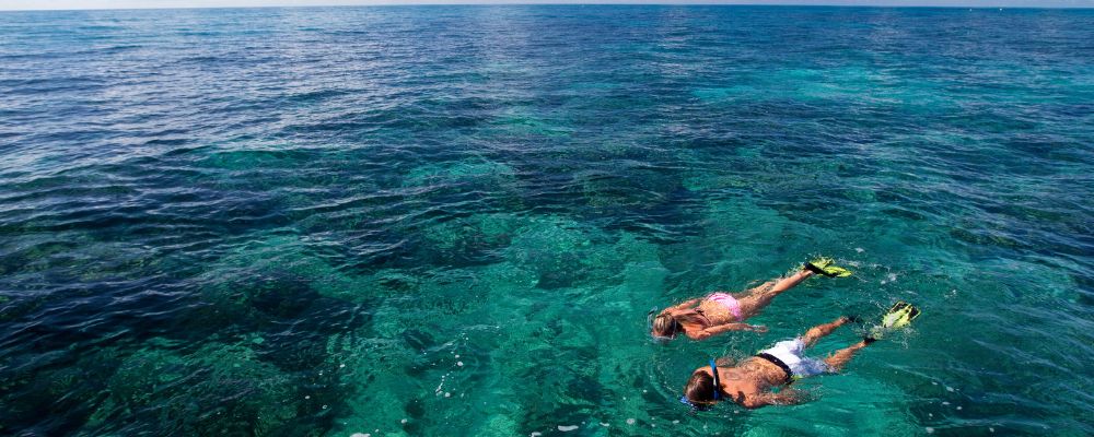 snorkelling in blue water in america